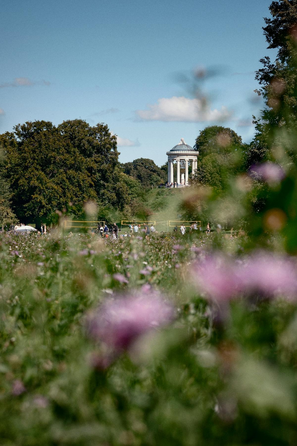 A beautiful English garden in summer sunshine, ideal for a free day out